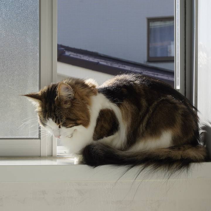 79258905 702e 4ca4 8735 67be5370dfce 1639880489809