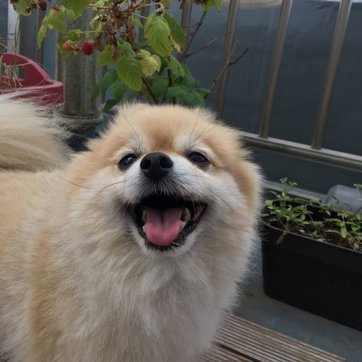 79259a77 72c8 4873 93bf 0c922bfe6b31 1563343130238