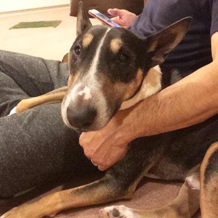 7925bddc e5c9 49d2 ac3a 543837043bc9 1508760967900