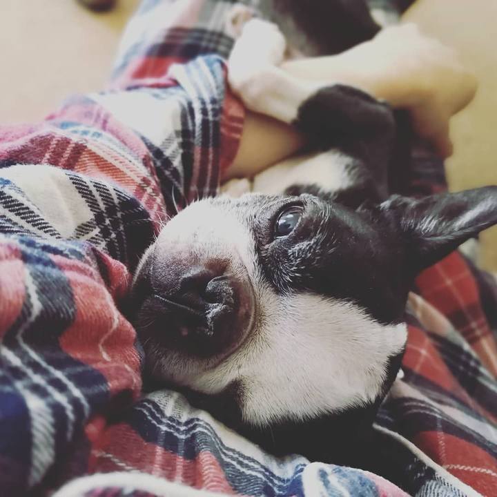 7925d0e1 97ed 4516 ba0c 8334edfbdfce 1548548987925