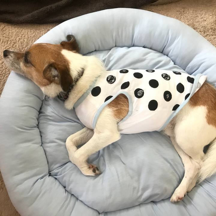 792621e2 e82f 4aea ae70 4020ea11bc05 1532232098291