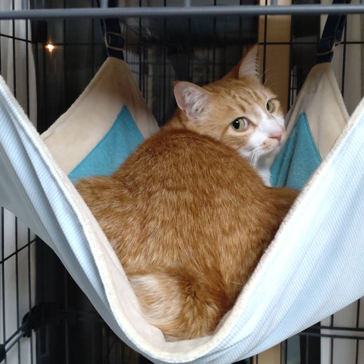 79265371 1b5a 4ca5 a9be e93bce837769 1773582288521