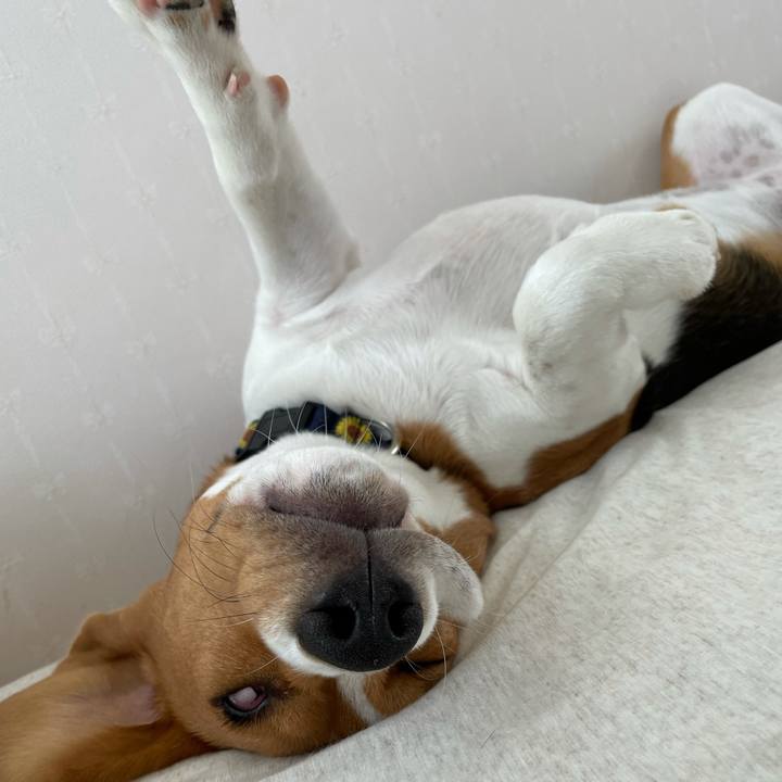 792665ea 8f2f 4ec2 a3ff 6d7017cb5b83 1629207663717