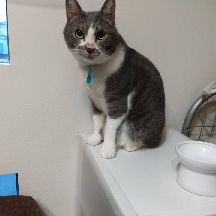 792675b7 64f1 496e 8b42 55a367121dcd 1634767389232