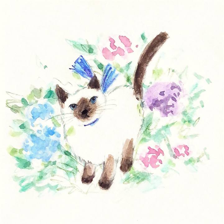 7926d9ef f36a 4db8 b408 45a179490081 1656075004351