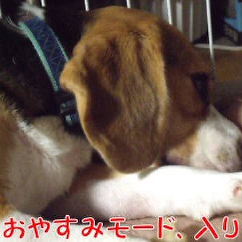 7926e62d 48e9 4251 b7b3 26c60a29f34d 1721864980083