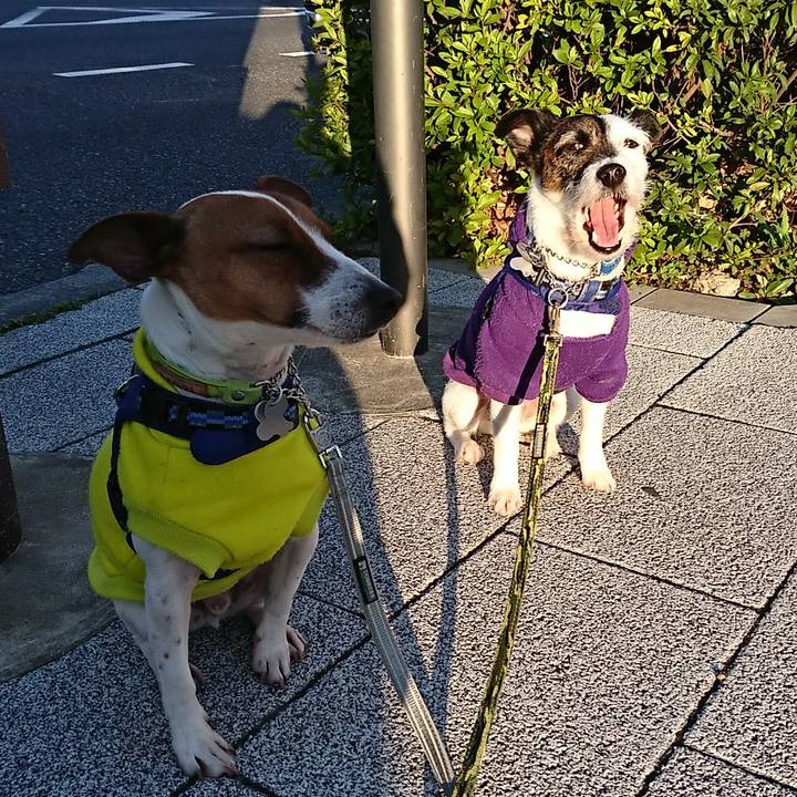 7926f073 07d2 479c b8d9 4699fcfc7bed 1552514115521