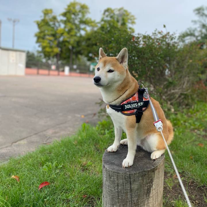 7927049e bd17 493d 9a46 215b65f3d750 1600837574595