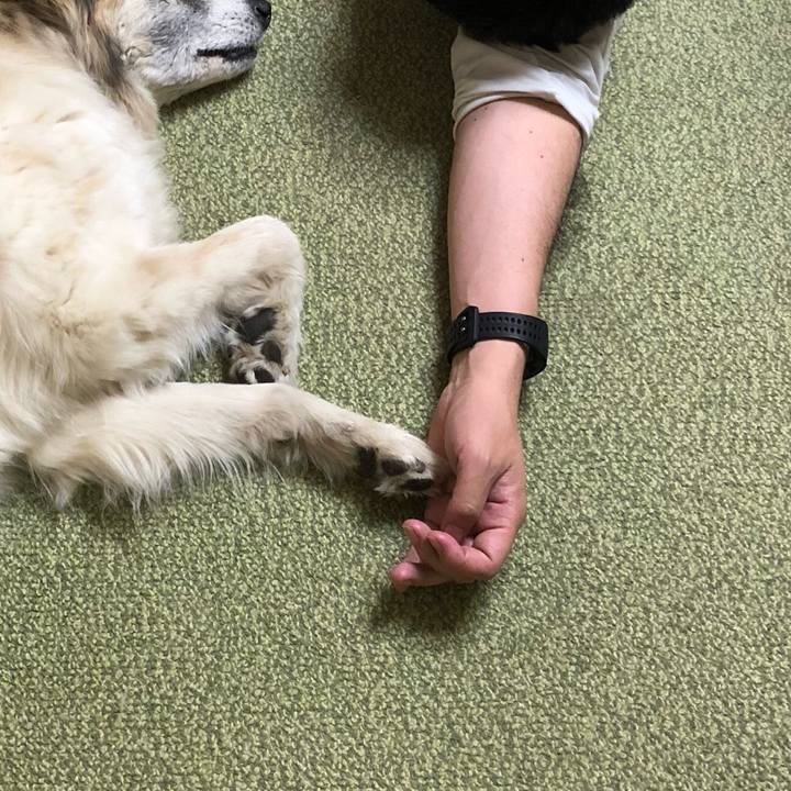 79270ae7 41dd 484f 9431 142873dd0fa6 1522678360980