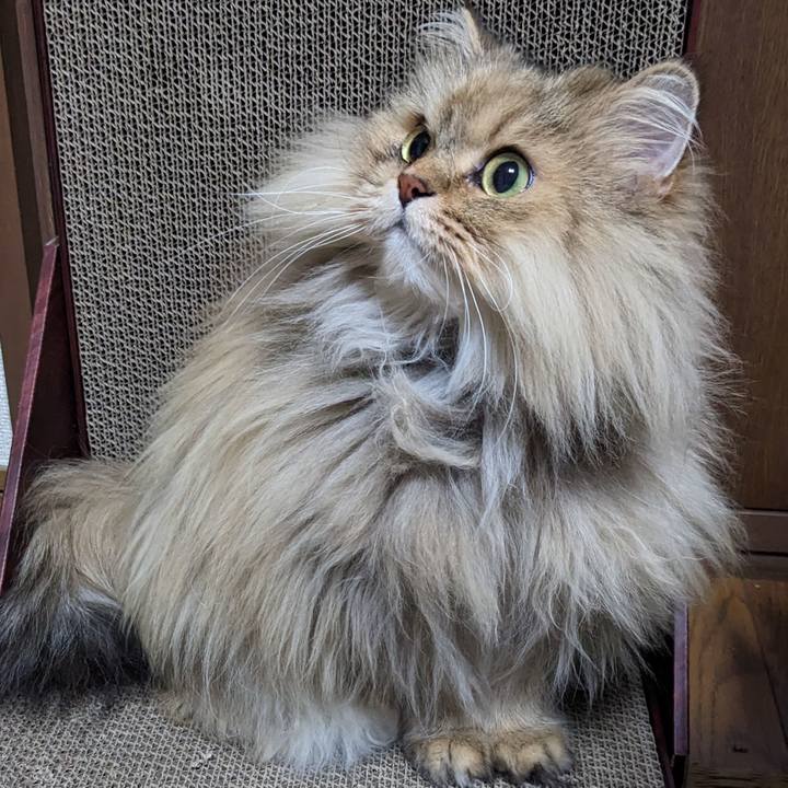 79271c58 789e 4160 82b8 d2d98b3498ff 1673884320003