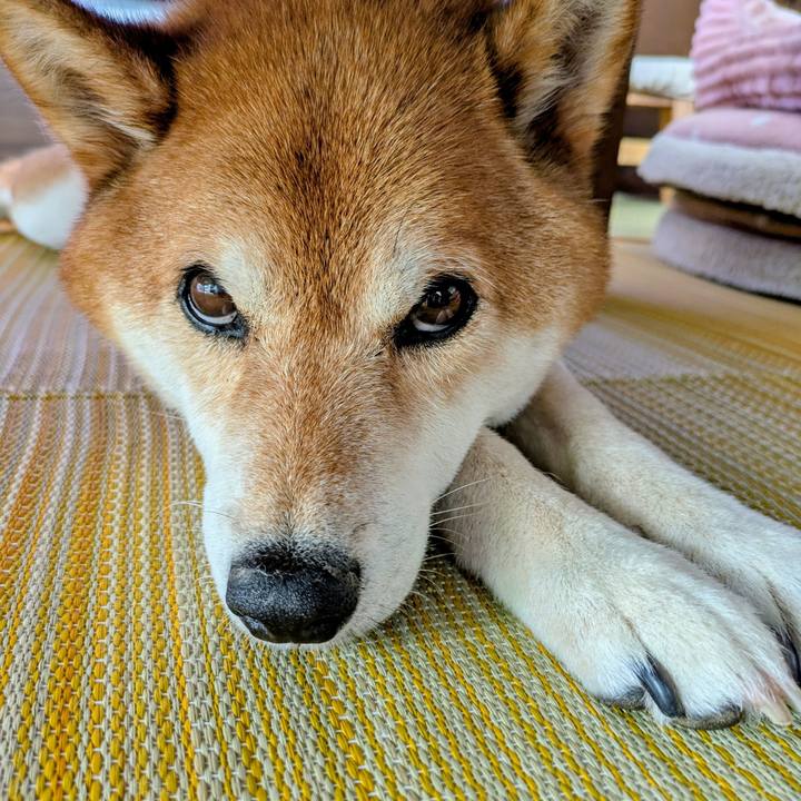 792721dd 2617 42f5 92ef da552adcadcb 1751343099857