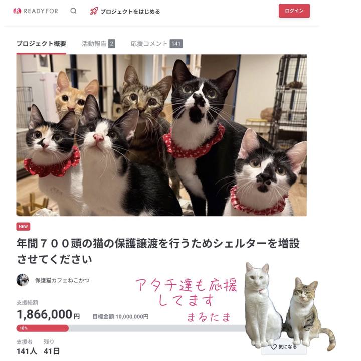 79272aff 6cb7 465b 889d 5e3409777504 1737159610957