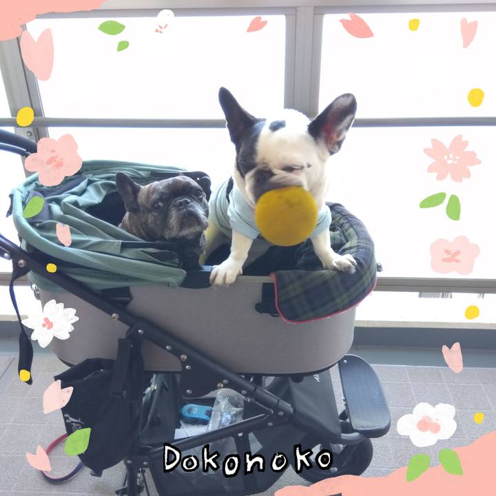 79274b75 18ad 4a37 90bc f8d65938970a 1711524551802