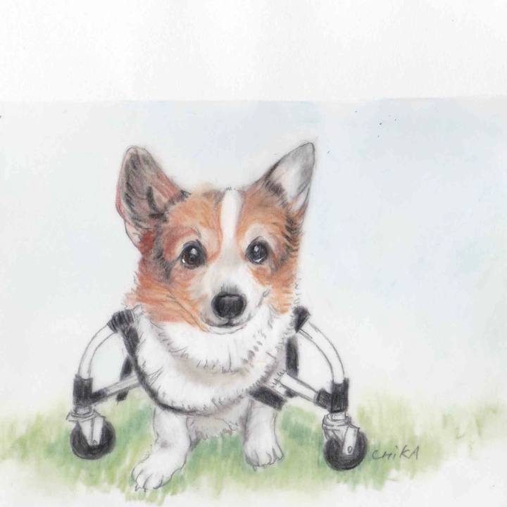 79277fcd 4f3a 4c21 a404 3d7de492f3da 1598372837189