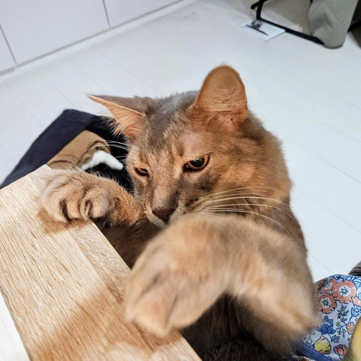 7927ab2e d855 47e5 91cb 17b2fd6fa93c 1739022690838