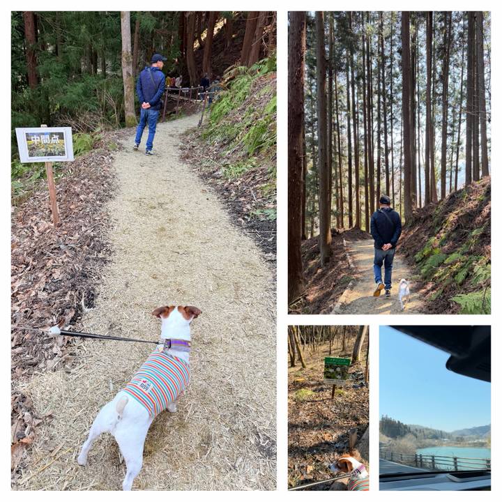 7927ab63 9309 417a a68c c75e0c069494 1774094564822