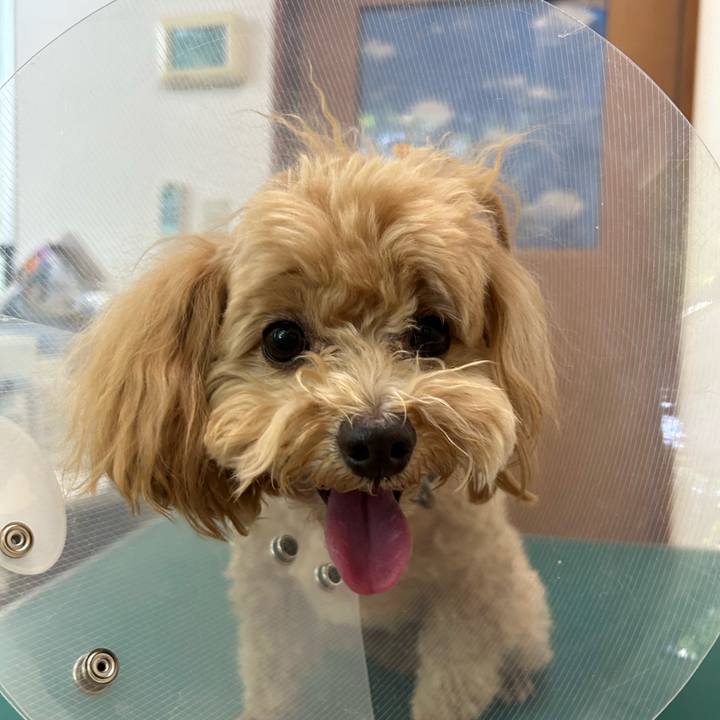 7927b55a ae9b 4799 ab12 68e0dc33f378 1715412815705