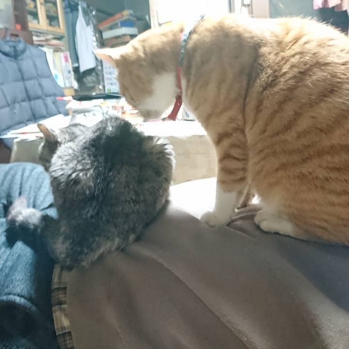 7927ba73 817d 4fd4 b980 e30cea3ce86b 1575101495940