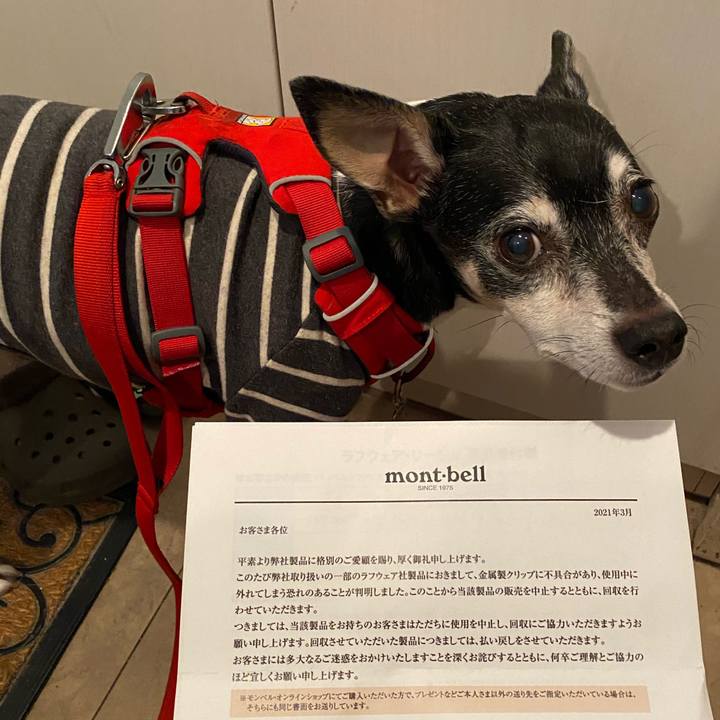 7927cdbc 62e6 436d 9916 3f76143fff7a 1616847737590