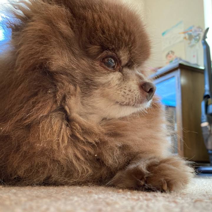 7927d0d3 c5db 4168 b22b c2857d6d4f39 1730783877081