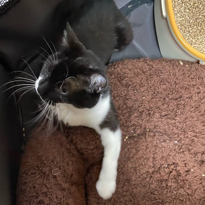 7927e21e 9209 4d92 bed3 162605a1a1c2 1600516969796