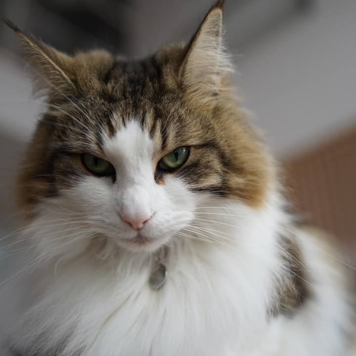 7927fbe0 410b 4d7b b811 bb6ed36ab1c5 1581913536684