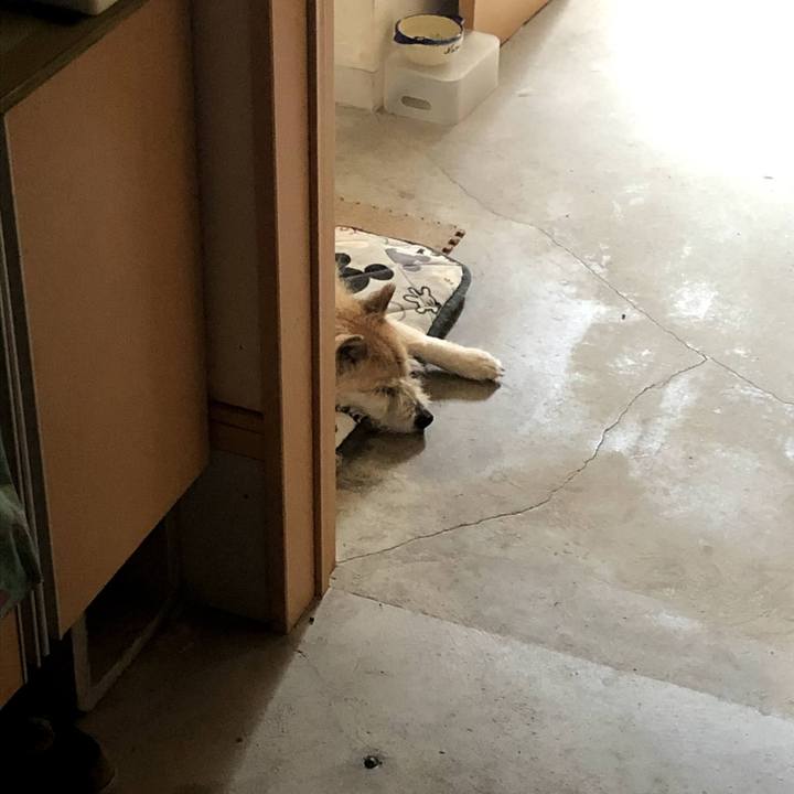 79280506 a696 46c2 909a ee6dc1890099 1621162388137