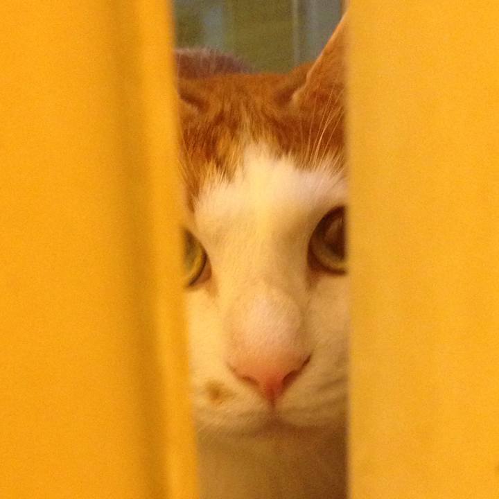 792827e5 f351 41c3 96f8 77b1b5ad2622 1510177409463