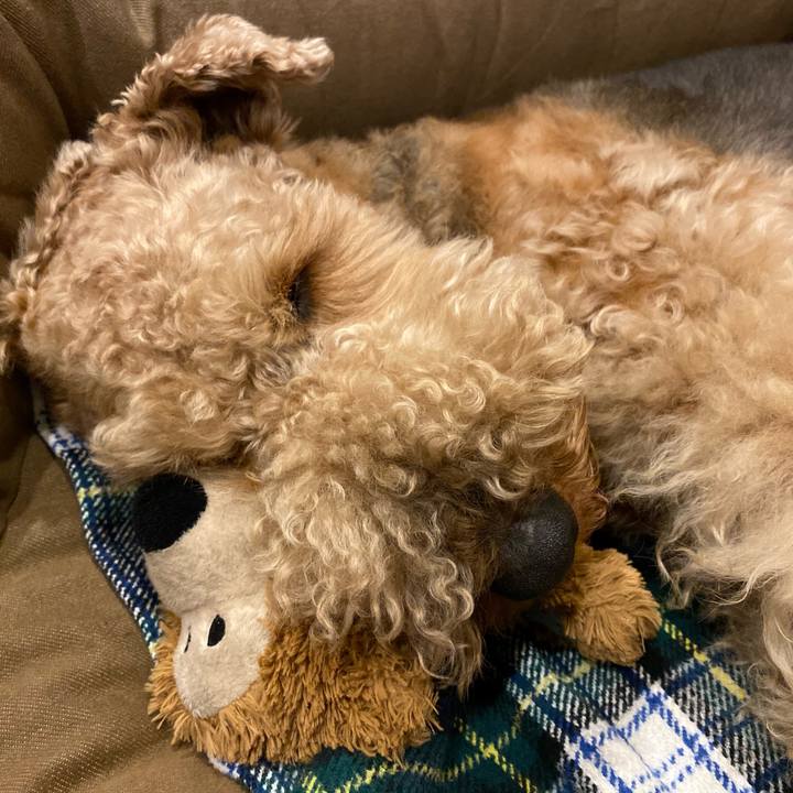 7928388b fc06 4db8 a7fd 2aa374df46a1 1582806781169