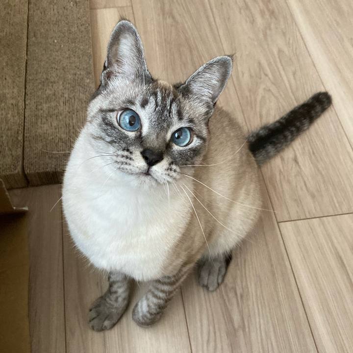 7928757c 74a2 4f47 9cec a32aed2ca7fc 1616068049060