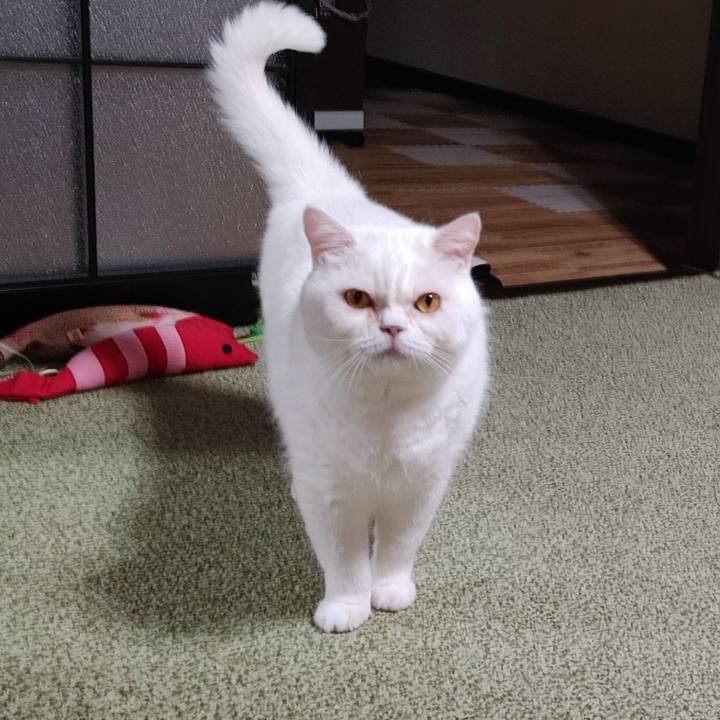 7928be32 c5c8 4381 a2f6 517e66caa528 1654089804440