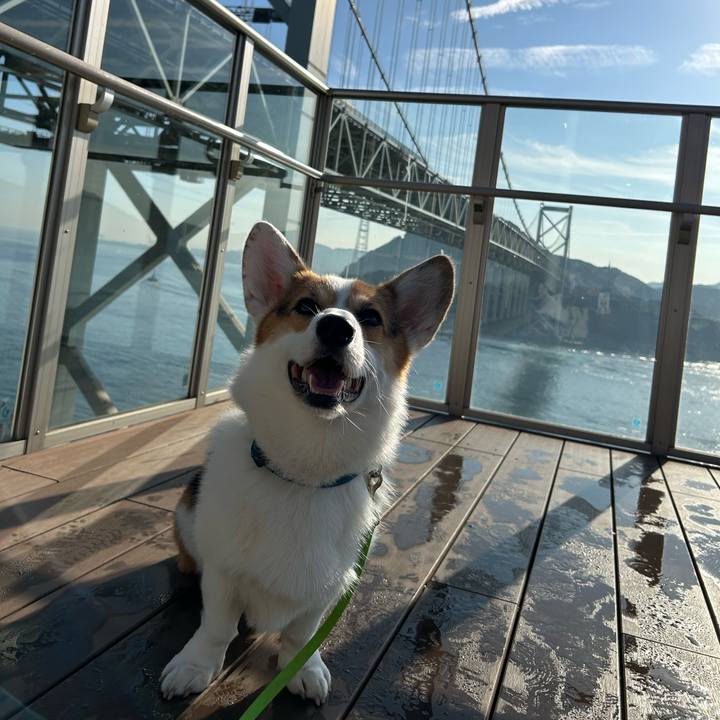 7928bf90 637f 493a 94e8 6eba92ec0e2a 1763340221350