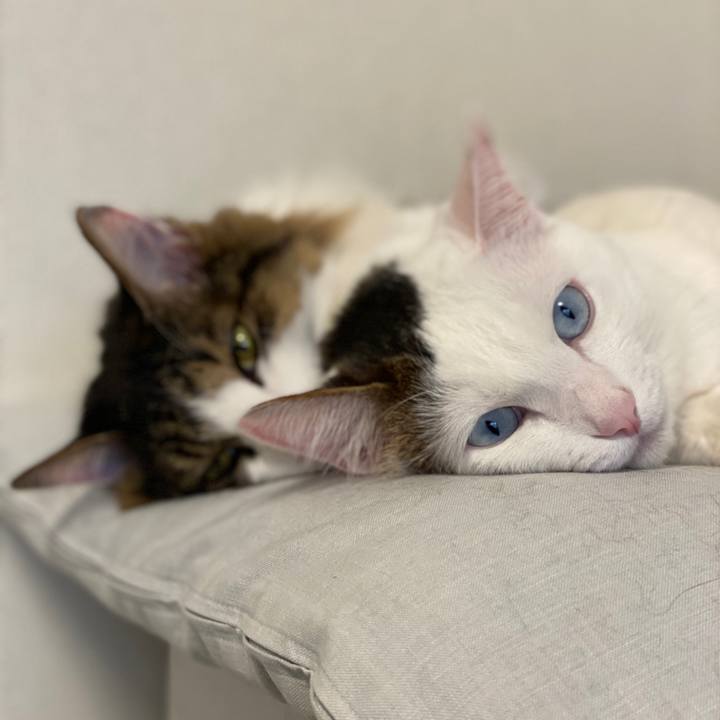 7928c243 e615 4d13 823a e5af37a2bc22 1580086975529