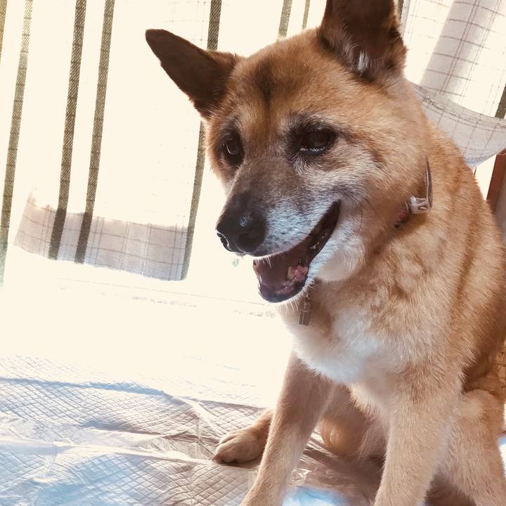 7928cd51 9239 4ccd 81b4 8c73820504b9 1531703994297