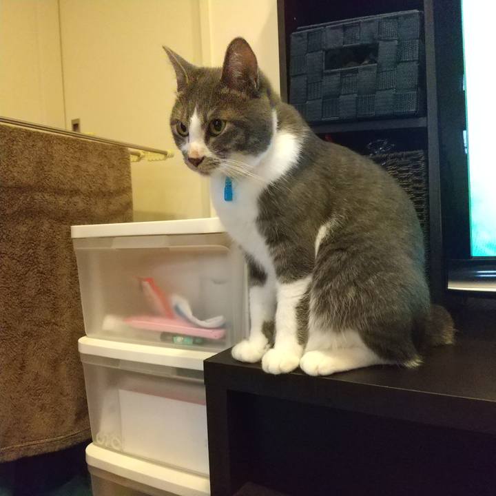 79291db5 6df3 4c09 b075 ed16e01e0c39 1601852563171