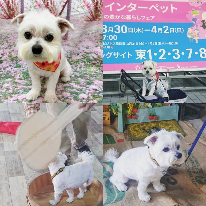 792938cf cae1 4b2a 9578 37de07dde74f 1680424906186