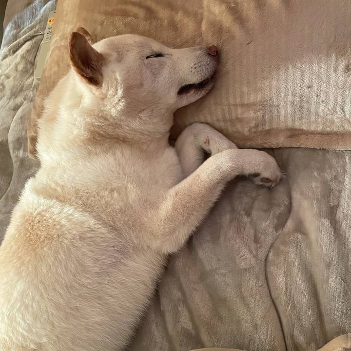 79294962 9fa3 451b 9c31 9344ffec948f 1634963003752