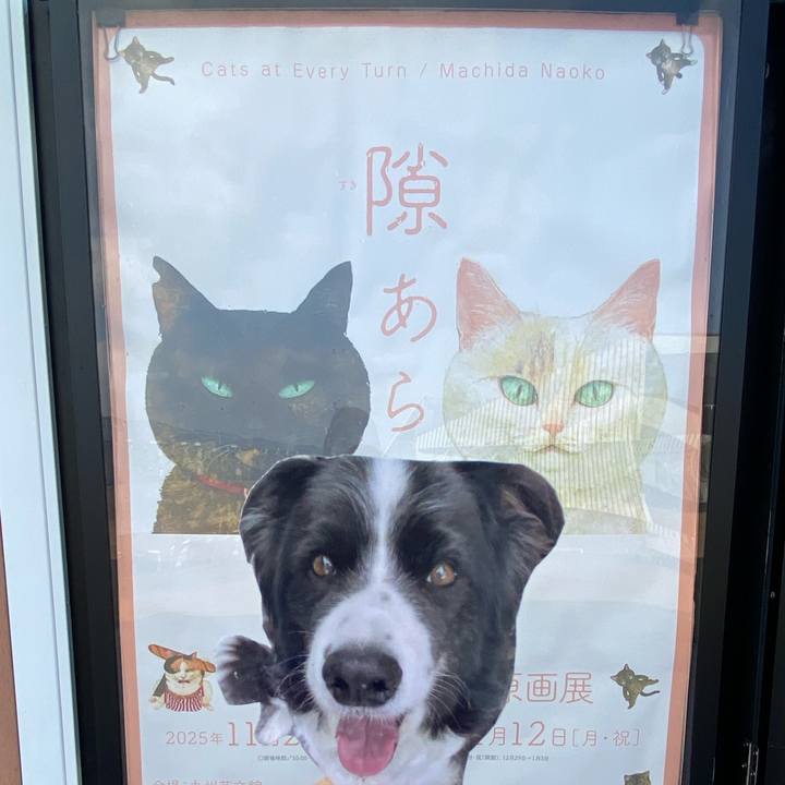 7929758b c007 419e b4a2 69dbd1635d7e 1765954200465