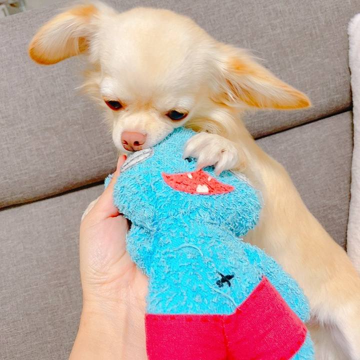 79299889 7dac 4ae6 a736 779663a05806 1635743777036