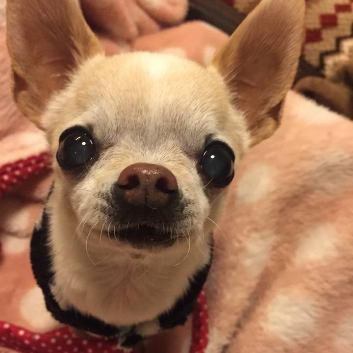 7929ae00 448d 4b4e 909b 3fb5c1f8ab96 1773144680377