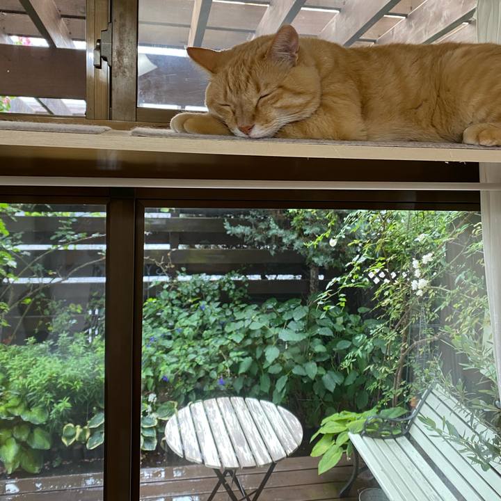 7929d5bd 64b6 4570 8442 a8a1d709064e 1659488151307