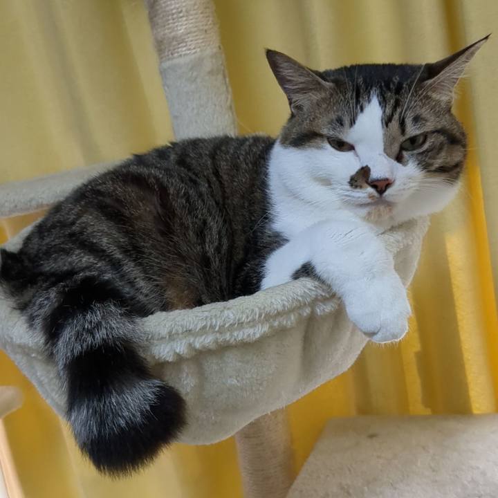 7929fcd0 8c49 480c abb7 4ab61a2a0202 1699325494459