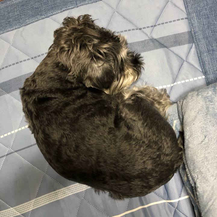 792a51d6 cdcc 4d8c 8944 f3a147fd6e5f 1689686327235