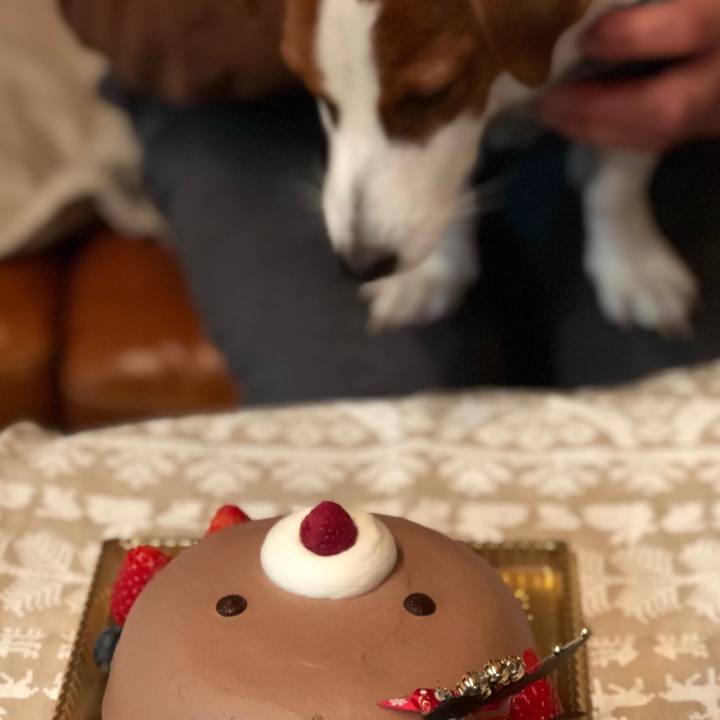 792a9752 010a 4314 ac97 7deb304b0850 1545602445302