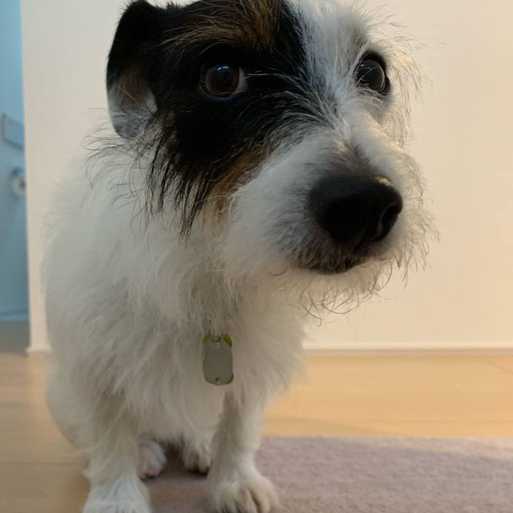 792aae11 0345 470c 8386 d419fdff156d 1567119696773