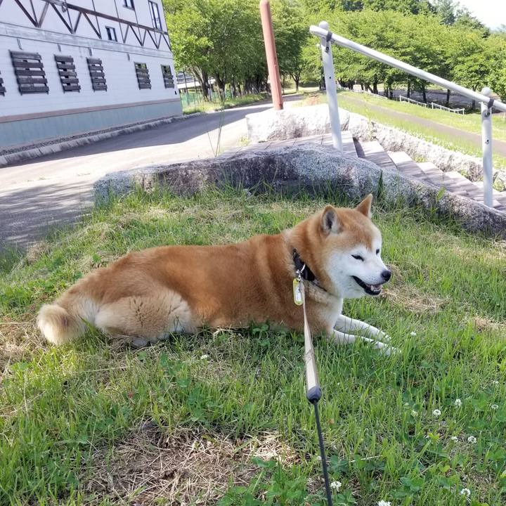 792ab6d9 0e44 4ac0 ac7b 29dd6959e2c4 1654321241248