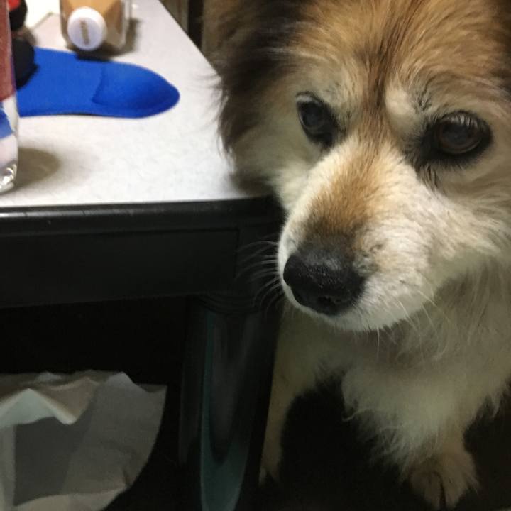 792ae0be feb0 40b4 8e38 8518126d8b06 1589549093806