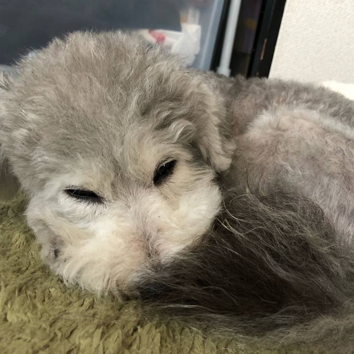 792aeefe 5096 44a9 ba10 87edaabfa71a 1535623009964