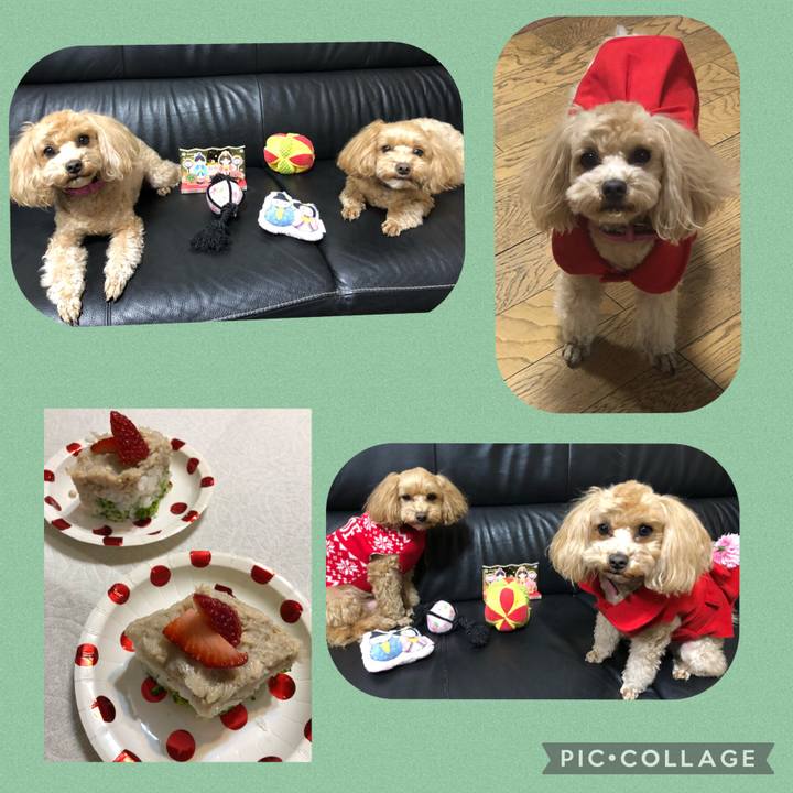 792bc0b8 96fc 469e ae55 cc144548bfd5 1614783267482