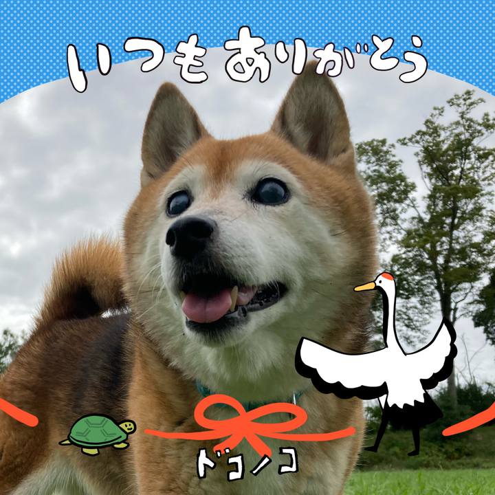 792bcd68 d70d 4644 bdab 7c7de5356252 1727156381094